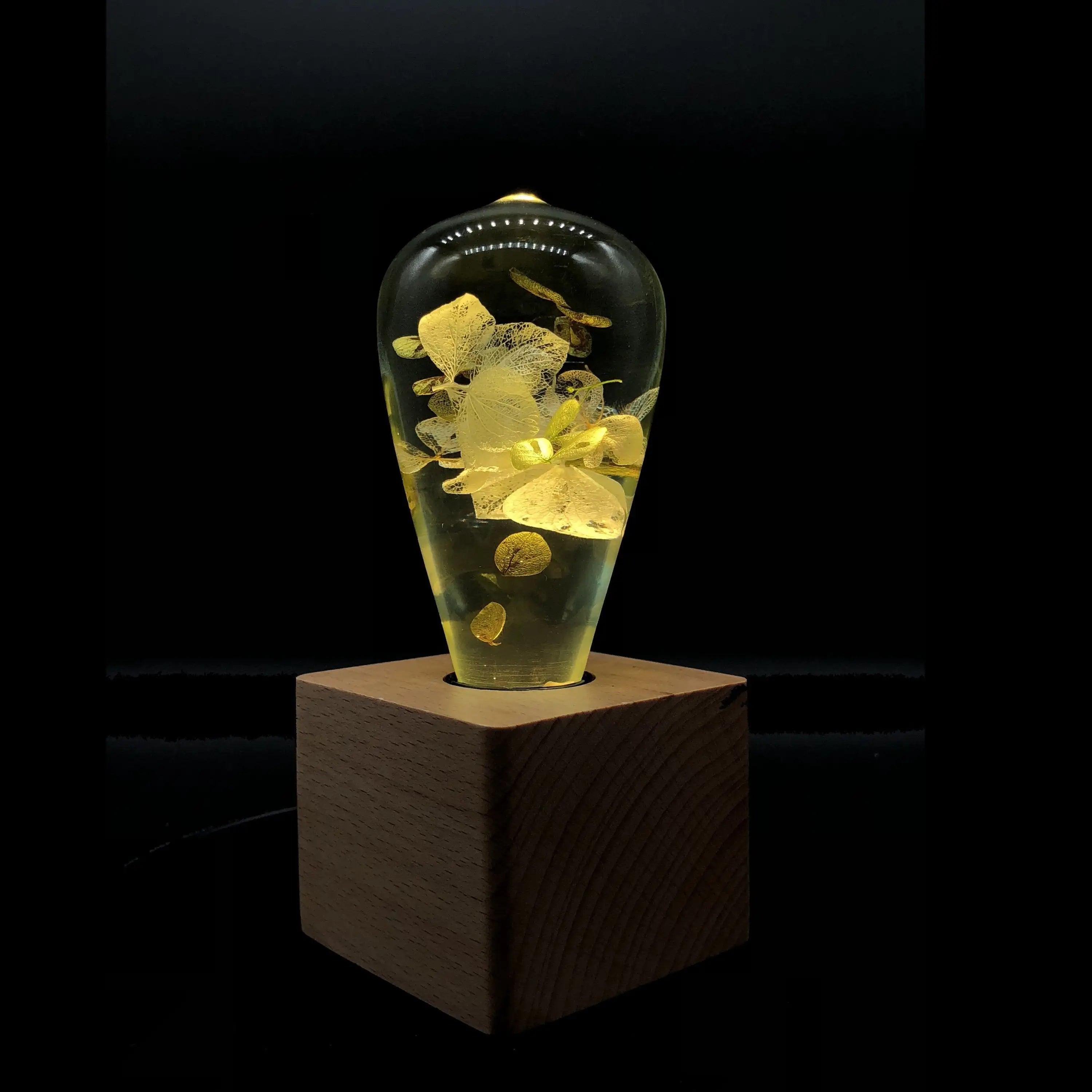 HydraGlow Radiant Night Lamp