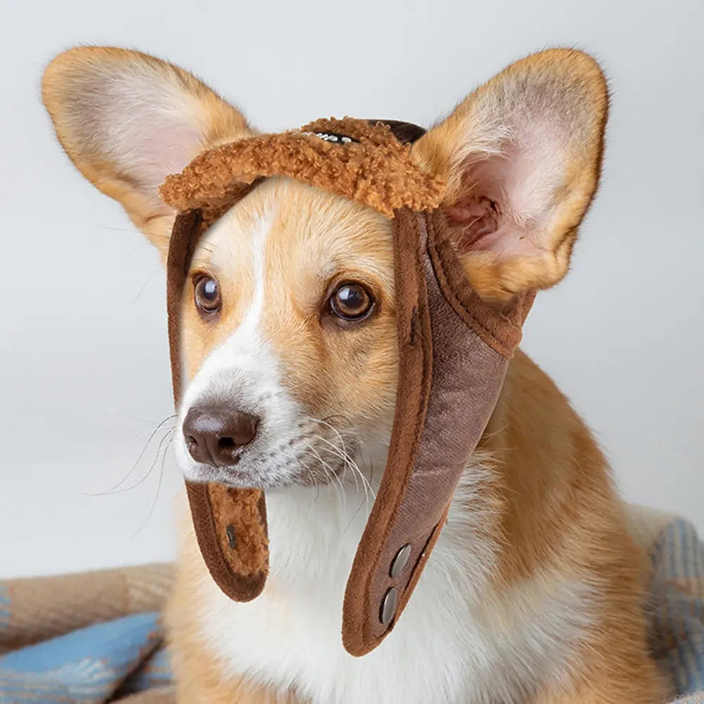 Winter Pet Dog Windproof Hat