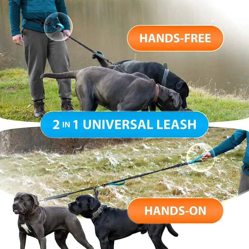 Reflective Hands-Free Double Dog Leash