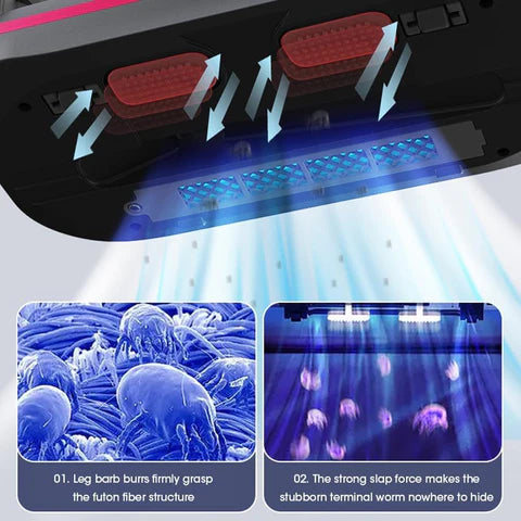 Clean Beyond the Surface: Mite-Free and Fresh Spaces