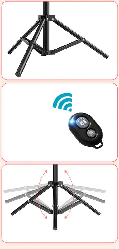 Multifunctional LED Light with Stand and Remote