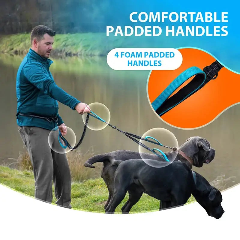 Reflective Hands-Free Double Dog Leash
