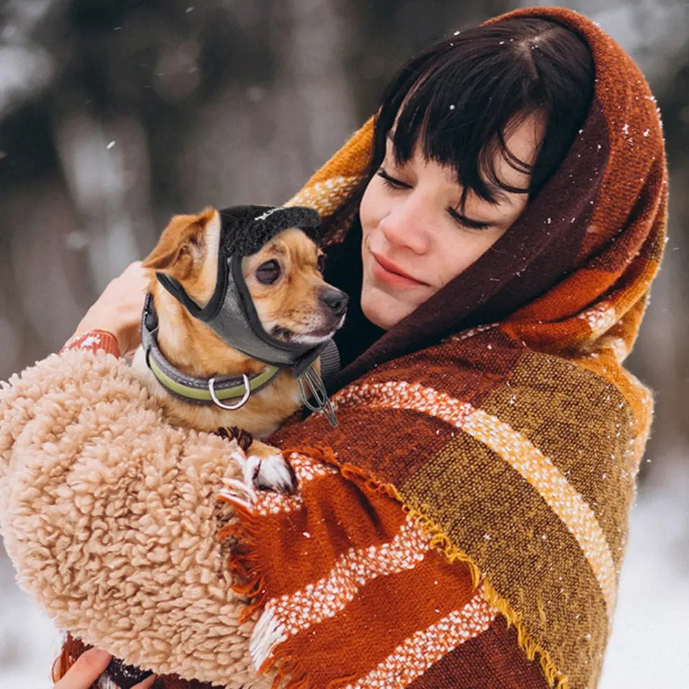 Winter Pet Dog Windproof Hat