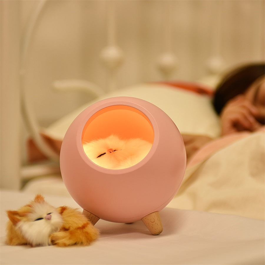 a photo of Cat light room with 2 cats where one is sleeping on a bed