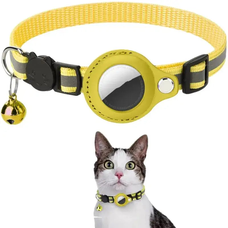 High-visibility Kitten Collar