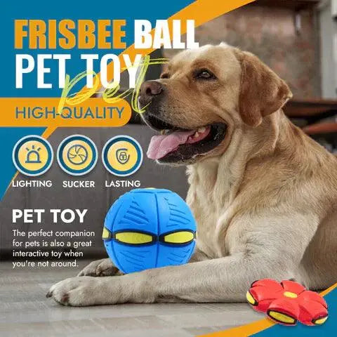 Pet Toy Flying Ball