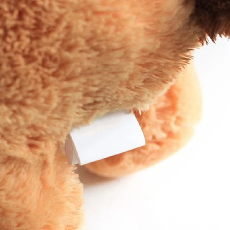 Heartbeat Pet Behavioural Training Toy