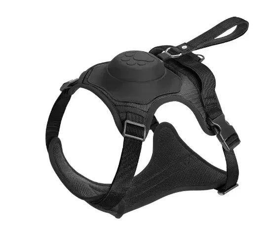 Walking harness for dogs