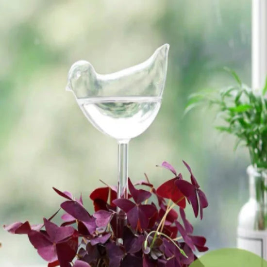 Self-Watering System