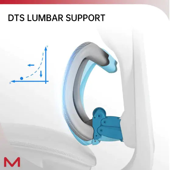 DTS Lumbar Support with close-up details on a white background