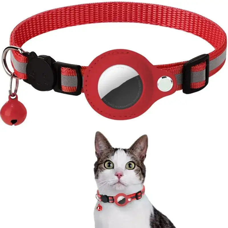 High-visibility Kitten Collar