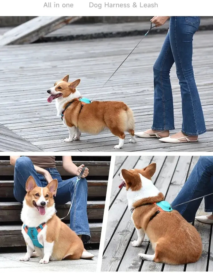 Foldable Anti-Pull Pup Leash