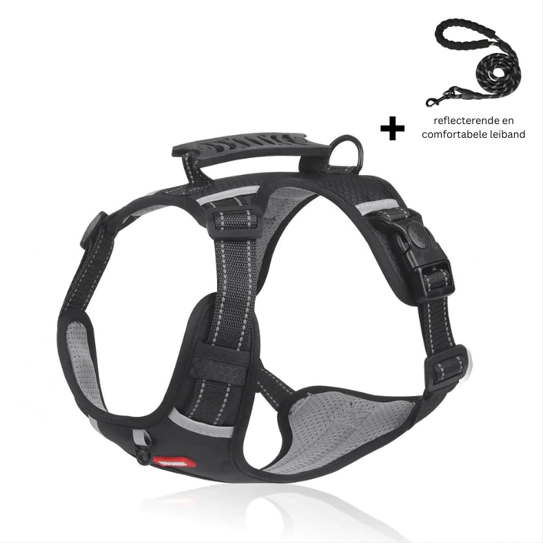 Enhancing Comfort For Pets