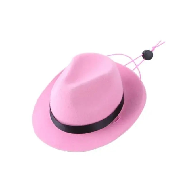 Western Style Hat with Star for Pets