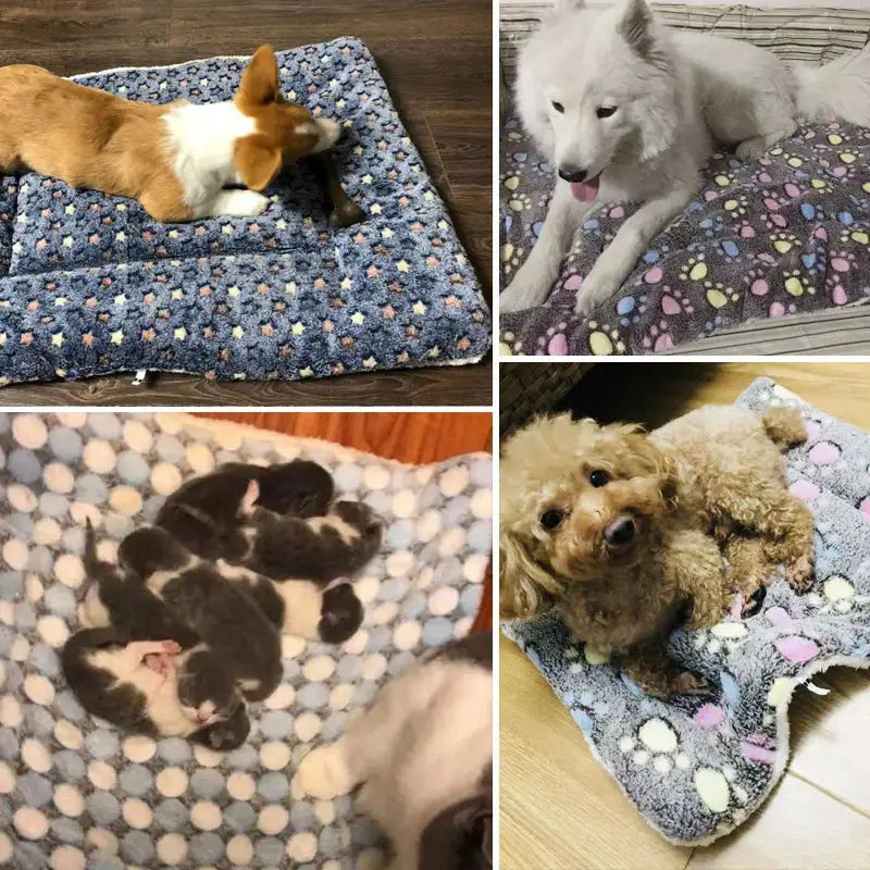 Pet Dog Cat Soft Coral Sleeping Blanket