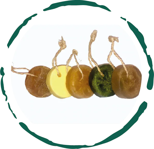 Organic Artisanal Soap Bars Collection