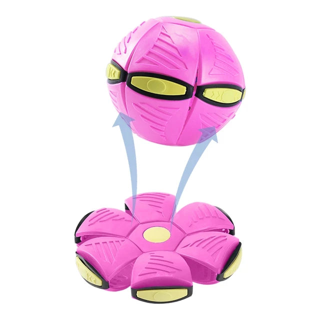 Pet Toy Flying Ball