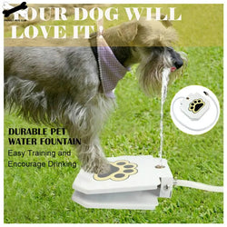 automatic dog drinking fountain