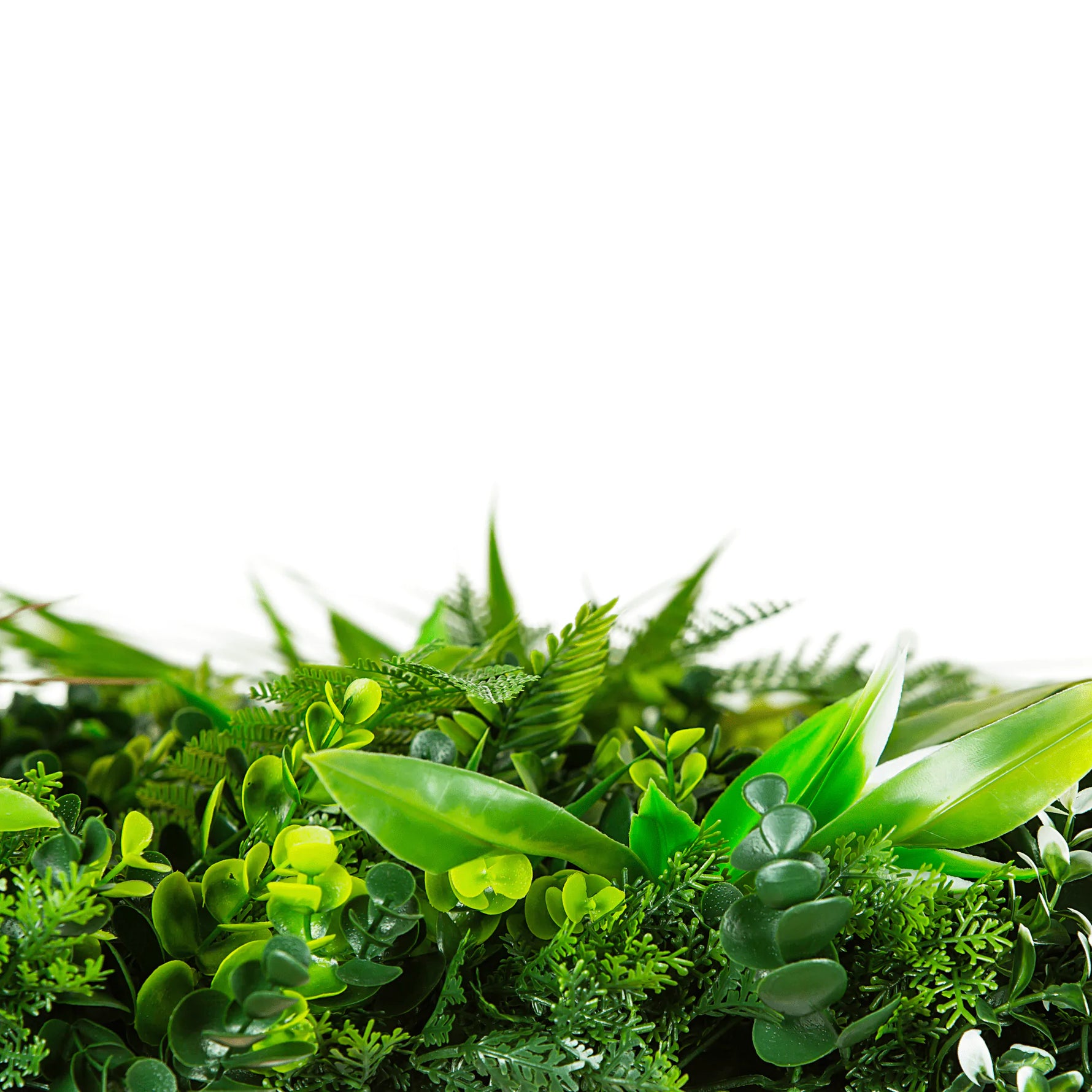 Wild Tropics Artificial Plant Vertical Garden