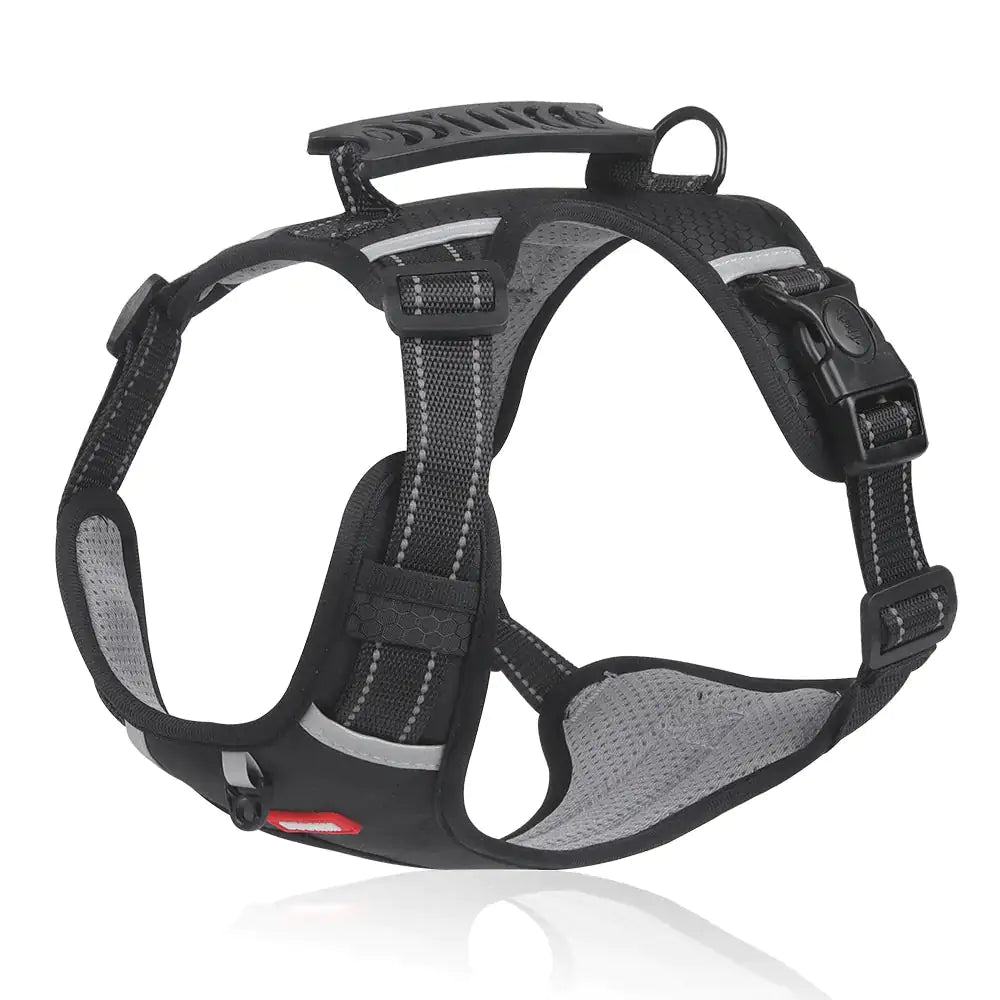 High-Visibility Pet Harness