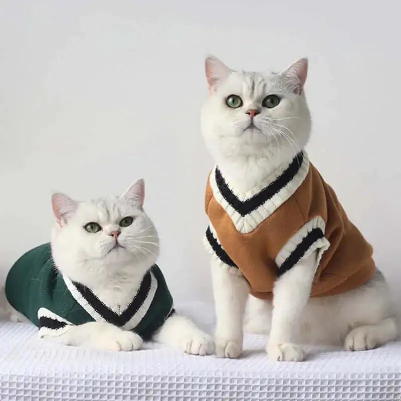 Cats Winter Sweater Pullovers