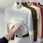 Women's Elegant Turtleneck Winter Sweater