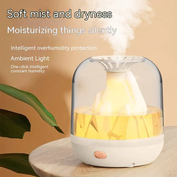 Large Capacity Charging Humidifier