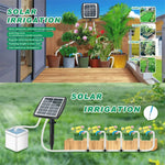 Automatic Plant Irrigation Setup