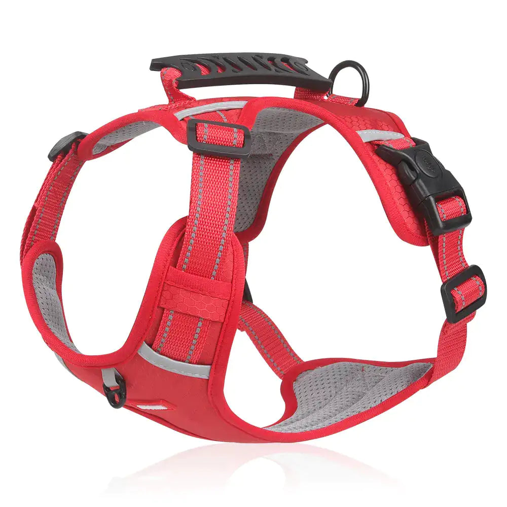 High-Visibility Pet Harness