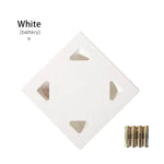 Automated Feline Pet Toy