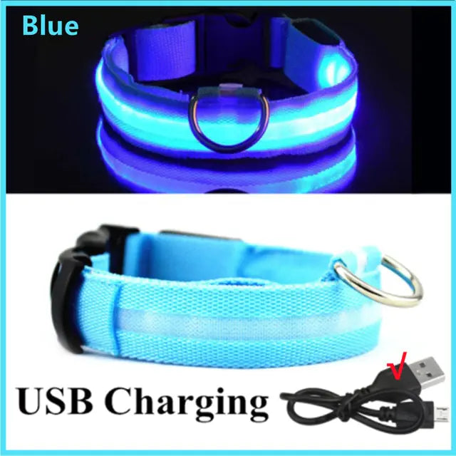 A product collage showing a blue LED light-up pet collar: the top image shows the collar glowing bright blue in the dark with a metal D-ring, and the bottom image shows the collar in daylight alongside a USB charging cable. Text on the image reads “Blue” and “USB Charging.”