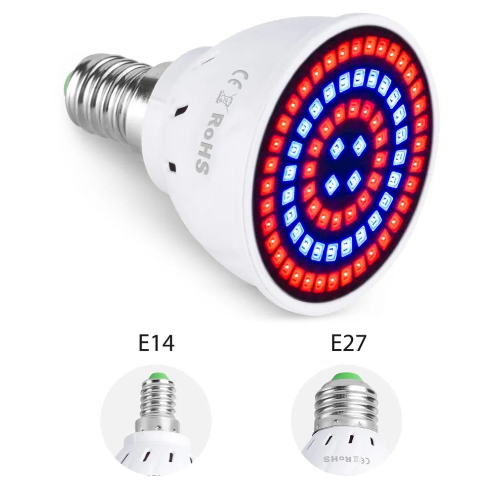 Phyto B22 Hydroponic Plant Growth Light
