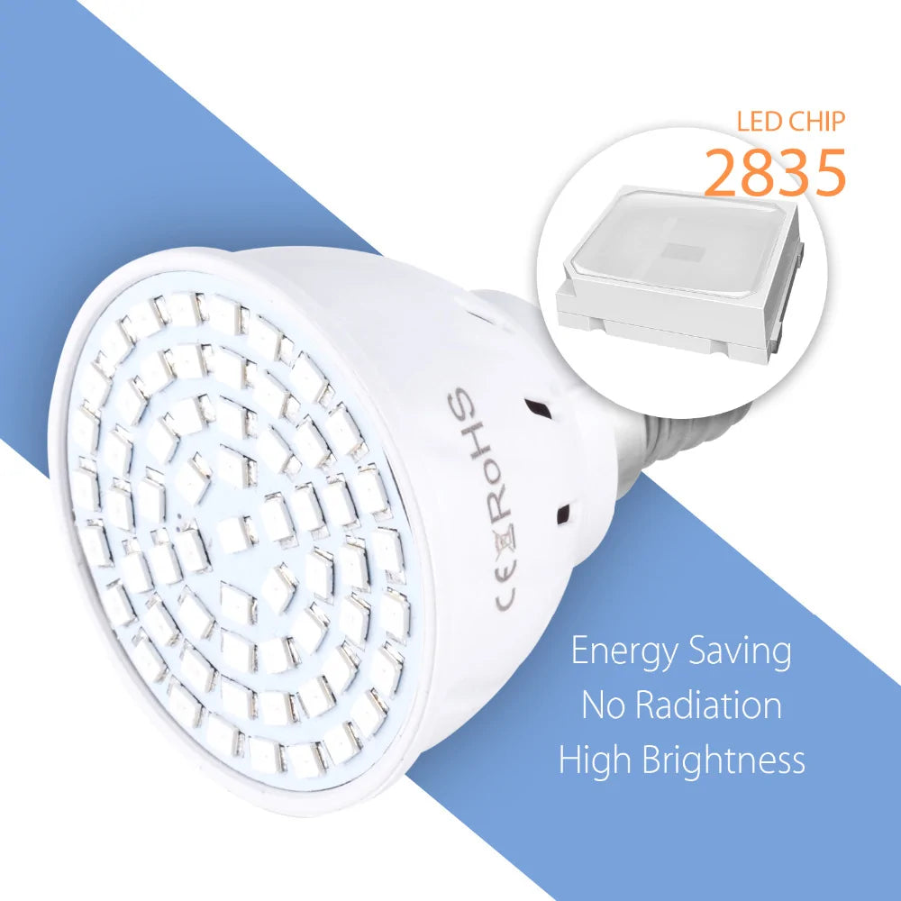 Phyto B22 Hydroponic Plant Growth Light