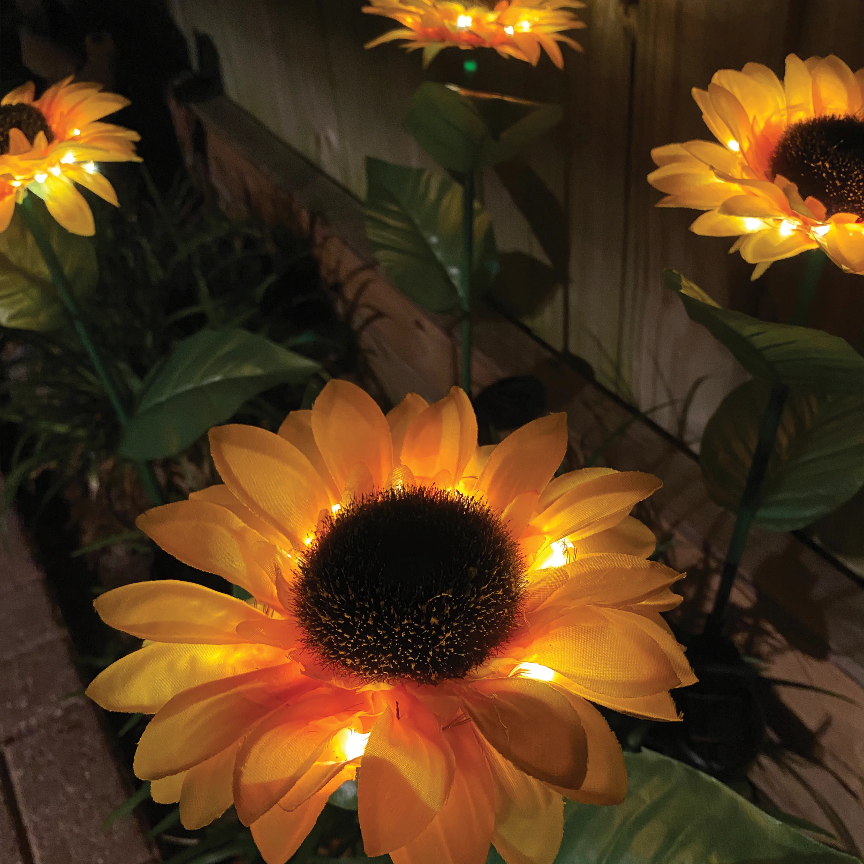 Illuminating Solar Sunflowers Set