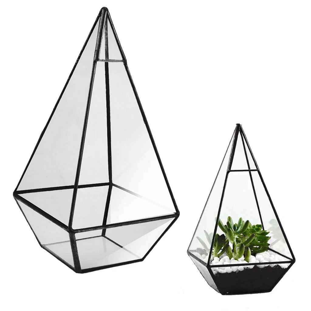 Plants Geometric Succulents Terrarium