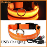 Pink USB rechargeable LED dog collar with adjustable buckle and metal D-ring.
