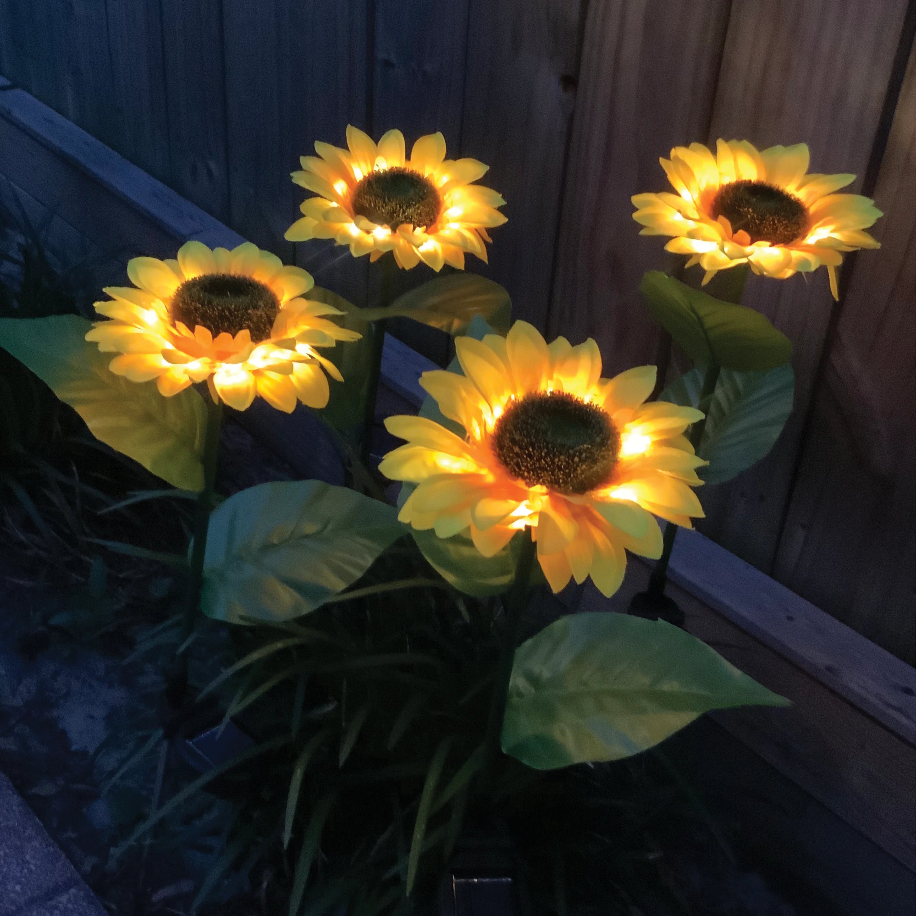 Illuminating Solar Sunflowers Set