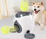 Smart Automated Pet Feeder