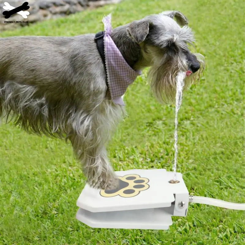 dog water fountain