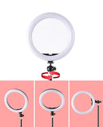 Multifunctional LED Light with Stand and Remote