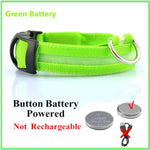 Infographic of a neon green pet collar labeled “Green Battery,” showing it is button-battery powered and not rechargeable, with coin cell images and a crossed-out charging cable.