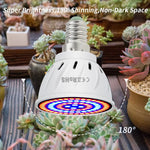 Phyto B22 Hydroponic Plant Growth Light