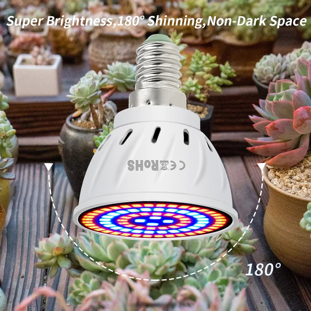 Phyto B22 Hydroponic Plant Growth Light