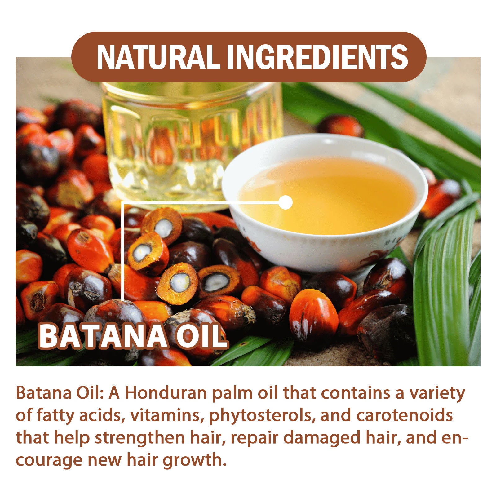 Batana Oil with palm oil seeds and a glass of oil, labelled as natural ingredients.
