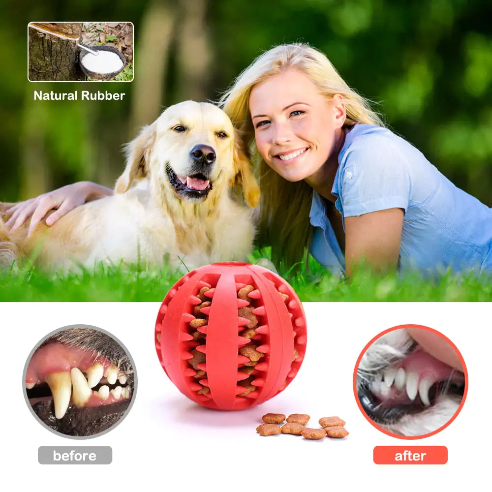 Interactive Cat Dog Rubber Ball