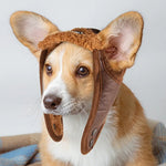 Winter Pet Dog Windproof Hat
