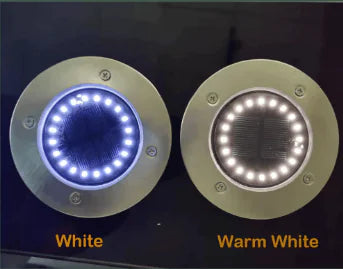 Long-Lasting Pathways Lamp