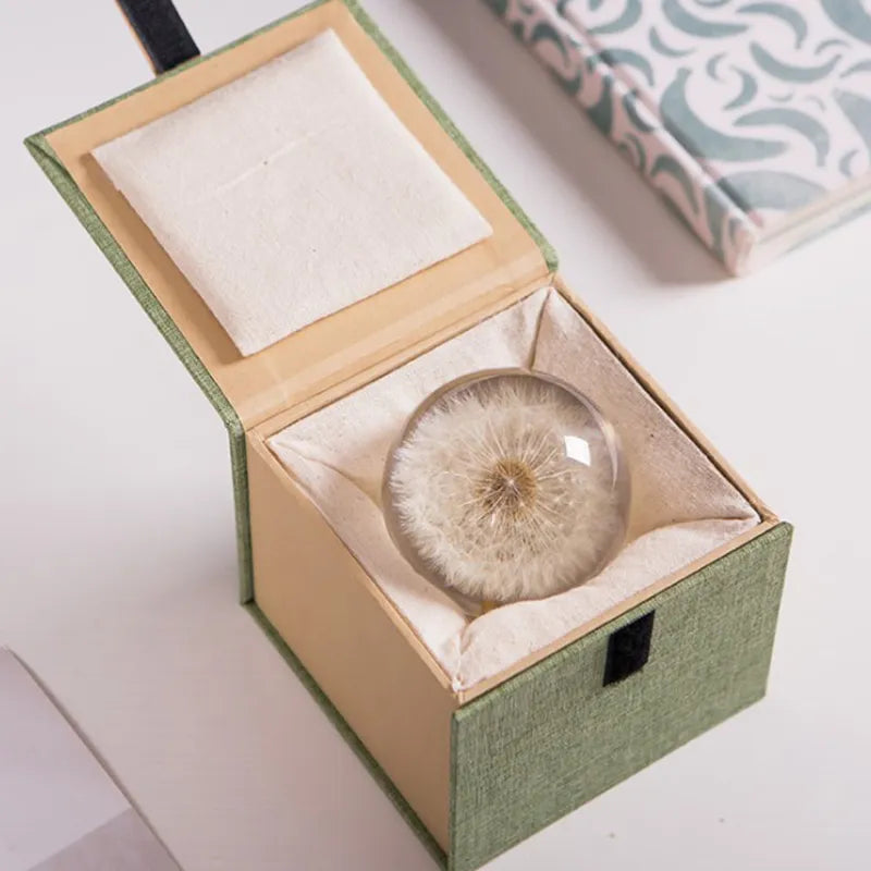 Dandelion keepsake crystal ball in gift box.