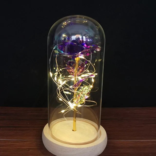 A pink rose inside a clear glass dome, wrapped with warm white fairy lights on a black base, sitting on a dark wooden table against a black background.