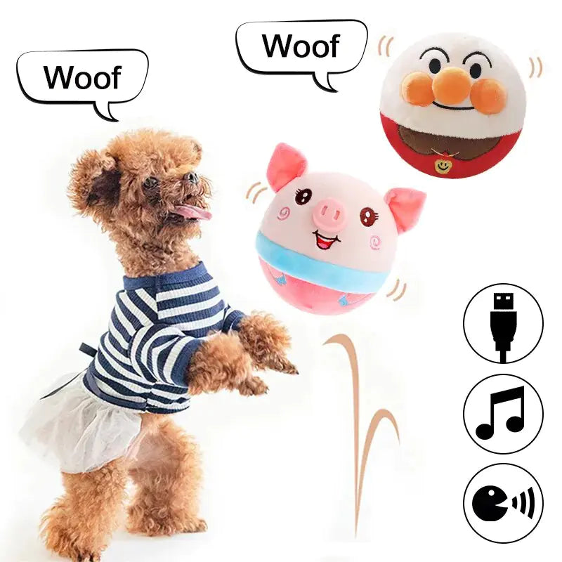 Auto Bounce Squeaky Dog Toy